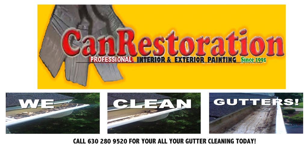 Customer Gutter Cleaning image 1